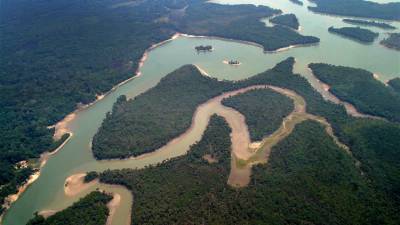 Cientistas advertem que destruição da natureza é ameaça tão grave como as alterações climáticas