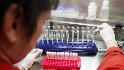 Cientistas britânicos desenvolvem óvulos humanos em laboratório pela primeira vez