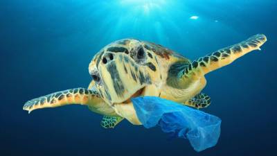 Cientistas chineses criam plástico que se decompõe em água do mar