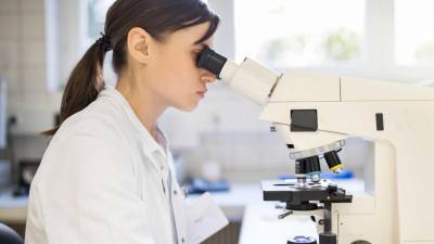 Cientistas chineses descobrem novos dados sobre origem dos vírus com ácido ribonucleico