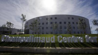 Cientistas da Champalimaud apresentam nova lei psico-física para explicar outra com 185 anos