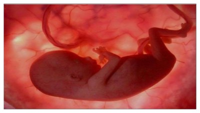 Cientistas recriam ambiente uterino para reduzir mortalidade de bebés prematuros