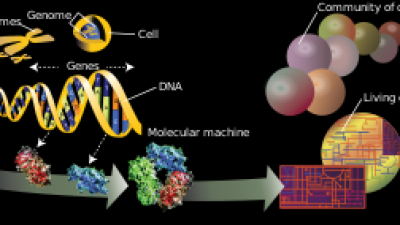 Cientistas sequenciam genoma humano com aparelho do tamanho de telemóvel