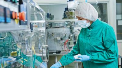 Cientistas sugerem que cerebelo é uma região do cérebro também ligada à atenção e decisão