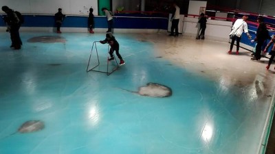 Cinco mil peixes congelados em pista de gelo causam alvoroço no Japão