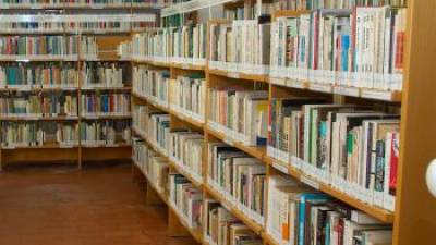 Cinco municípios em Portugal não têm serviço de biblioteca