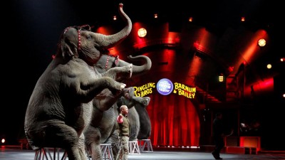 Circo Barnum termina em maio após 146 anos de atividade