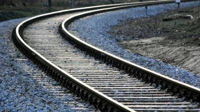 Circulação ferroviária interrompida na Linha do Norte devido a atropelamento mortal