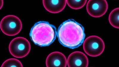 Células de leucemia resistem à quimioterapia porque movem-se rapidamente na medula