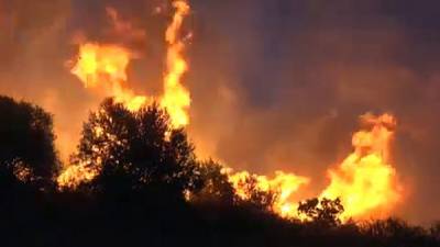 Comissão Europeia prevê época de fogos “acima da média” na Europa