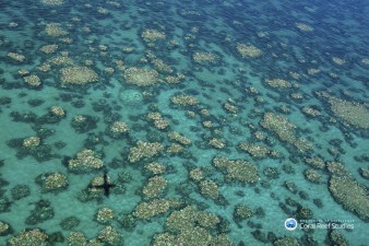 Danificados em dois anos 1.500 quilómetros da Grande Barreira de Coral