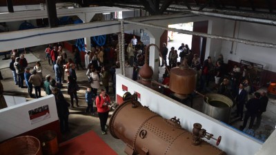 Dar a Ver regressa com duas conferências nos dias 3 e 4 de Março no Funchal