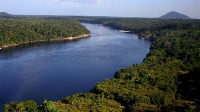 Densa e intocada Amazónia afinal foi plantada por povos antigos