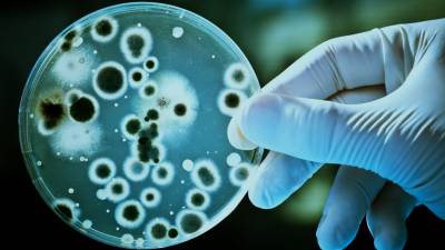 Descoberta de microrganismos ajuda a explicar habitabilidade no planeta