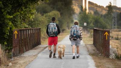 À descoberta do Caminho de Santiago que atravessa o Interior de Portugal