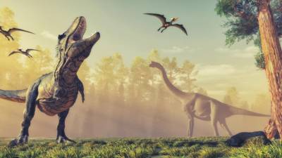 Descoberta na Mongólia nova espécie de dinossauro do grupo dos ovirraptossauros