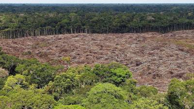 Desflorestação da Amazónia pode alterar o regime de chuvas no Brasil