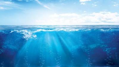 Dia Mundial dos Oceanos assinala importância da inovação para a sustentabilidade
