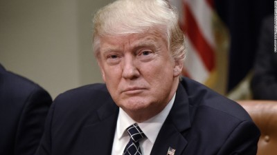 Donald Trump adia política de importação de presas de elefantes africanos