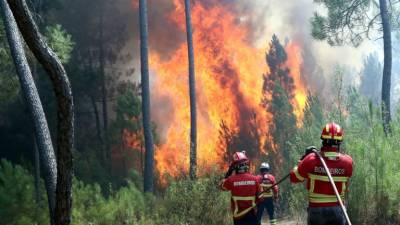 Dos 18 mil incêndios que ocorreram nos últimos dois anos “só dois são de grande dimensão”