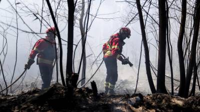 Dos 19 mil incêndios detetados este ano, apenas dois lavraram mais de 24 horas