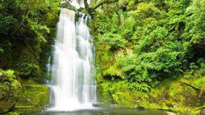 Ecosistemas saudáveis exigem diversidade de habitats e não apenas de espécies