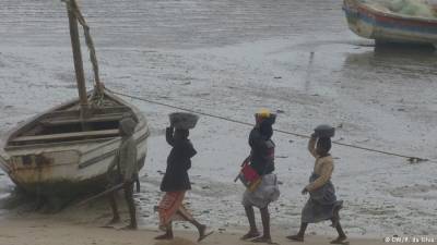 Espécies marinhas continuam a sofrer pressão nos mares moçambicanos