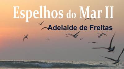 ‘Espelhos do Mar II’ no Museu da Baleia