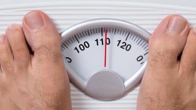 Estão gordos e por isso foram despromovidos de tripulantes de cabine para cargos administrativos