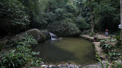 Estudo alerta para impactos do aquecimento global nos fungos de água doce