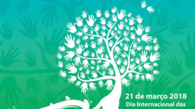 Exposição ‘A Floresta, fonte de vida!’ assinala Dia Internacional das Florestas