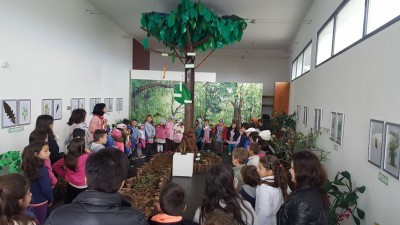 Exposição ‘Folhas Mágicas’ na Casa da Cultura de Santana