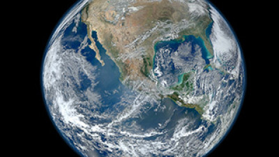 Extinção em massa de vida na Terra está a acontecer a ritmo galopante