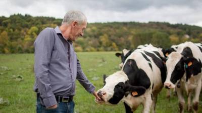 Fabricantes investigam ingredientes alternativos e sustentáveis para a alimentação animal