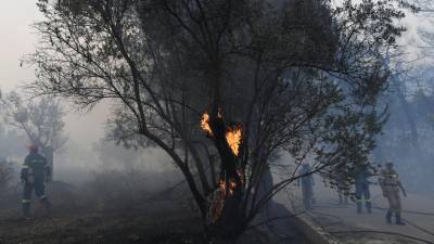 Fogo em ilha grega obriga a evacuar duas localidades