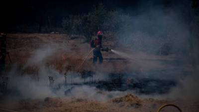 Fogo em pinhal no concelho de Cinfães está dominado