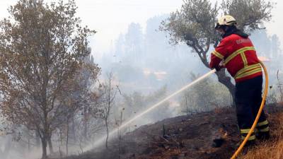 Fogo em resolução em Vila de Rei e em 70% do território atingido em Mação