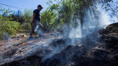 Fogo na Gran Canária começa a estar controlado e alguns moradores regressam a casa