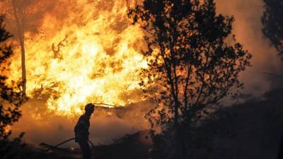 Fogo que deflagrou em Tomar está activo e a lavrar com “alguma intensidade”