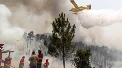 Fogo queimou entre 500 a 600 hectares nos concelhos de Alijó e Murça
