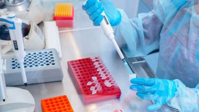 França considera que há “evolução favorável” da epidemia no país