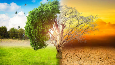 Fundo Ambiental tem um milhão para apoiar projectos ligados às alterações climáticas