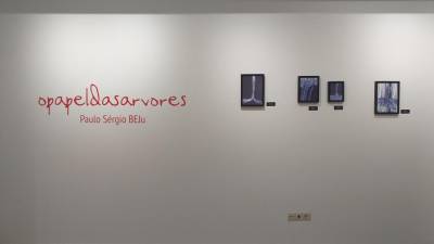 Galeria Marca de Água organiza visitas orientadas e conversas