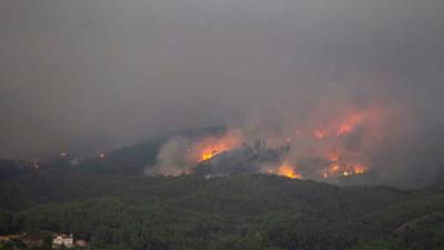 GNR detém duas pessoas pelo crime de incêndio florestal