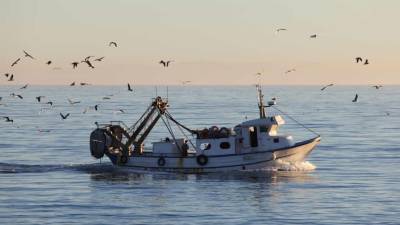 Governo dos Açores cria apoios para a cessação da actividade da pesca