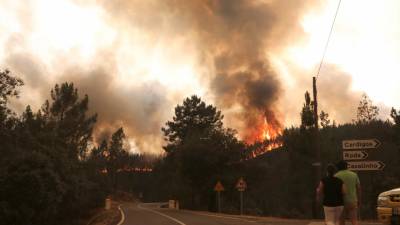 Governo reconhece como catástrofe natural fogos de Vila de Rei e Mação