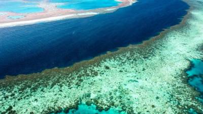 Grande Barreira de Coral da Austrália sofreu “colapso catastrófico”