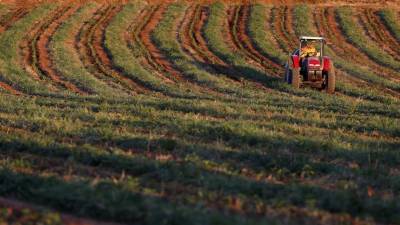Homem de 90 anos morre em acidente de tractor no concelho de Coimbra