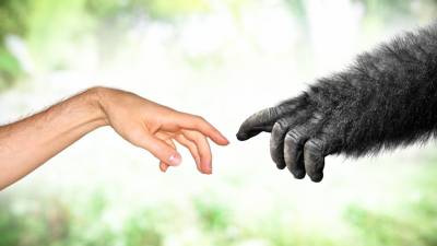 Humanos actuais têm origem em populações diversas, de diferentes regiões de África