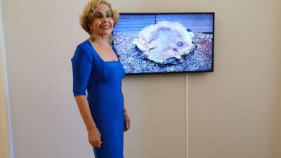 Idalina Sardinha comenta obra de Martinho Mendes